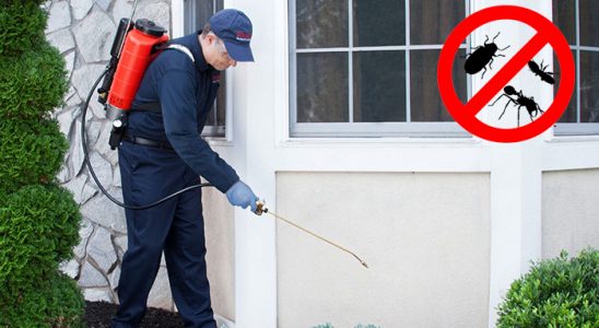 Tekkeköy Hamam Böceği İlaçlama böcek ilaçlama ve haşere kontrolü — ilaclama-tr.com